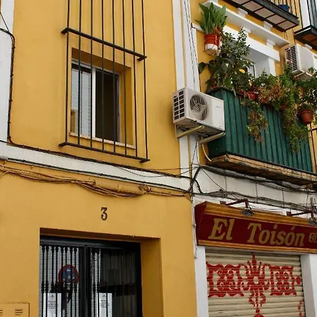 Wish Campana De * Sevilla