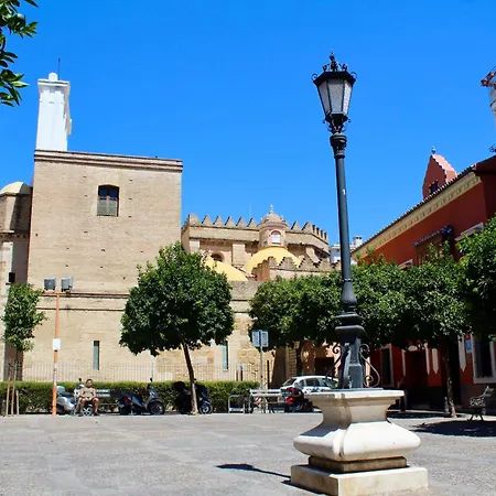 Apartman Wish Campana De